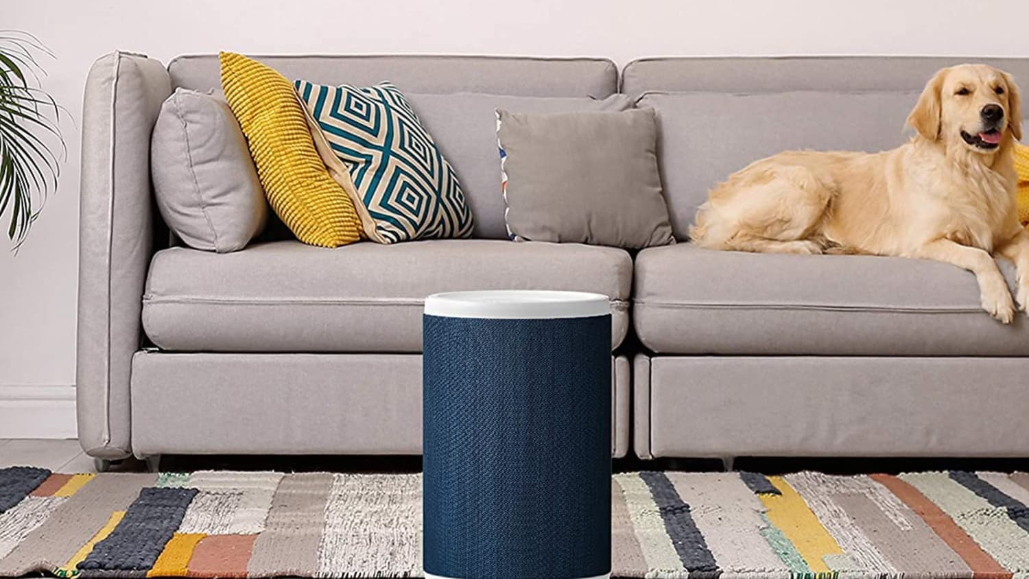 aeris aair lite Air Purifier Review Apartment Therapy